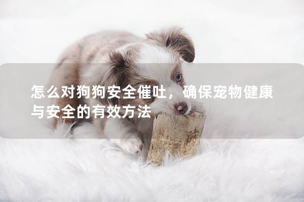 怎么对狗狗安全催吐，确保宠物健康与安全的有效方法